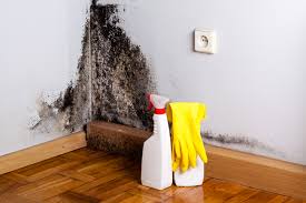 Environmental Consulting for Mold Prevention in Mission, SD